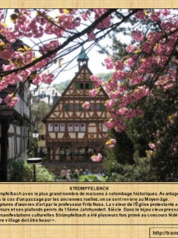 La Dynastie des Wurtele 3