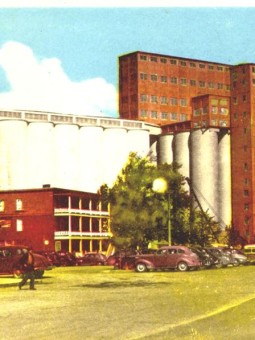 Sorel-Tracy en images Louise Pelletier (131)