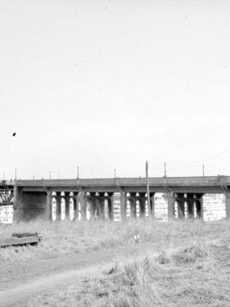 Sorel-Tracy en images Louise Pelletier (184)