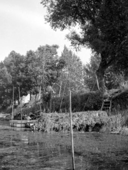 Sorel-Tracy en images Louise Pelletier (234)