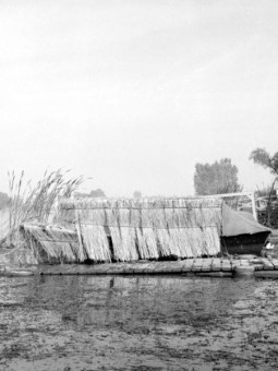 Sorel-Tracy en images Louise Pelletier (235)