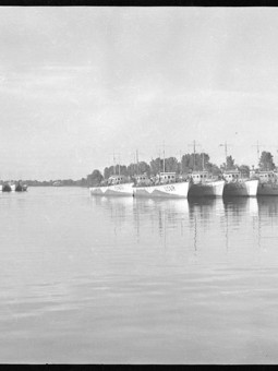 Sorel-Tracy en images Louise Pelletier (31)