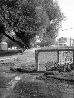 Sorel-Tracy en images Louise Pelletier (44)