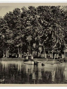 Villégiature iles de Sorel Louise Pelletier (10)