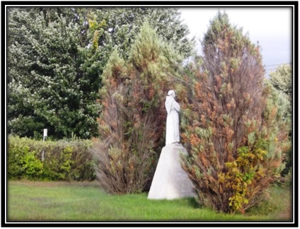 Photo septembre 2014 collection privée Louise Pelletier. Statue de St-Antoine sur le terrain des Pères Franciscains 